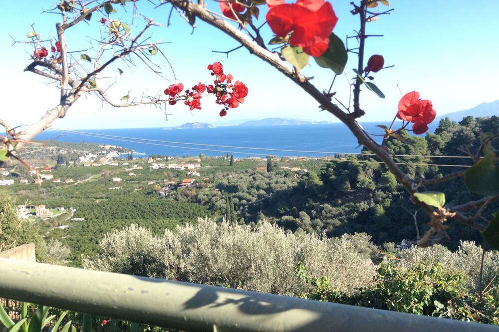 Photo of Others in Melissopetra