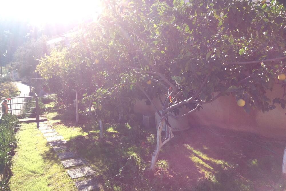 Photo of Outdoor in Melissopetra