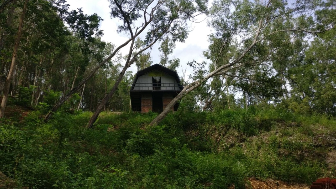Photo of Outdoor in Mangunan