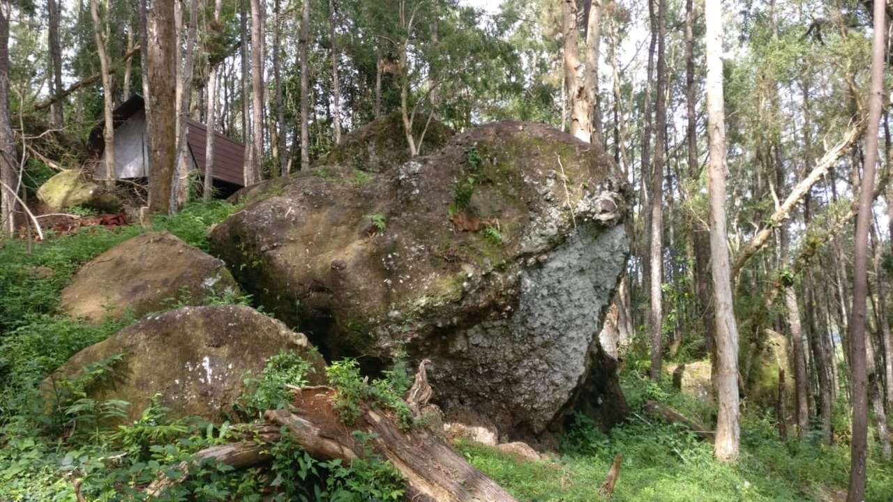Photo of Others in Mangunan