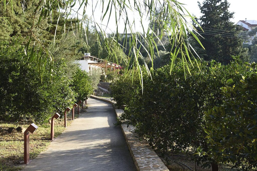 Photo of Outdoor in Agios Adrianos