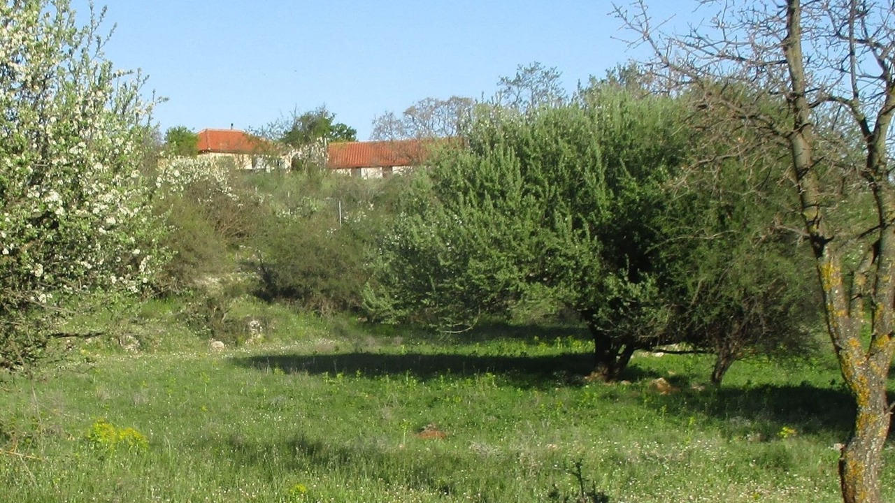 Photo of Outdoor in Fokiano