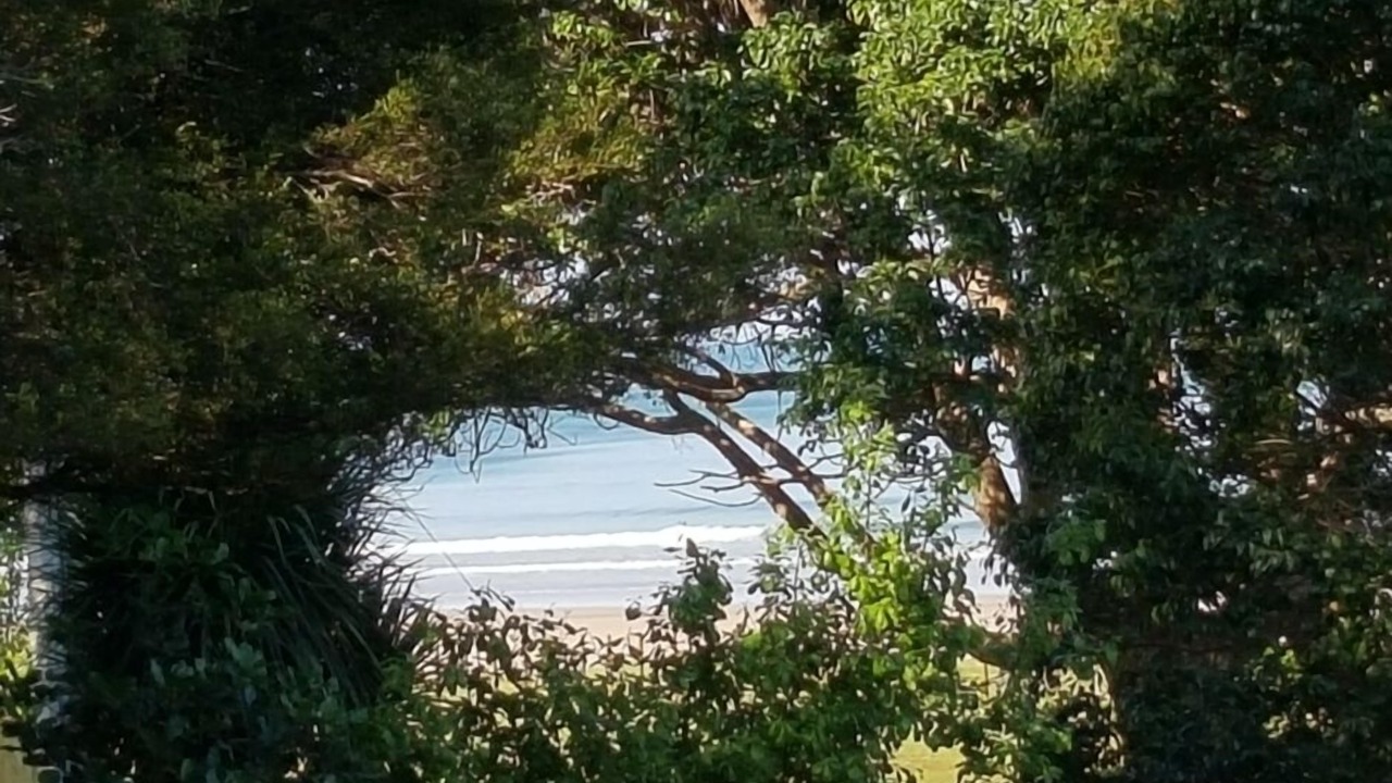 Photo of Outdoor in Tokomaru Bay