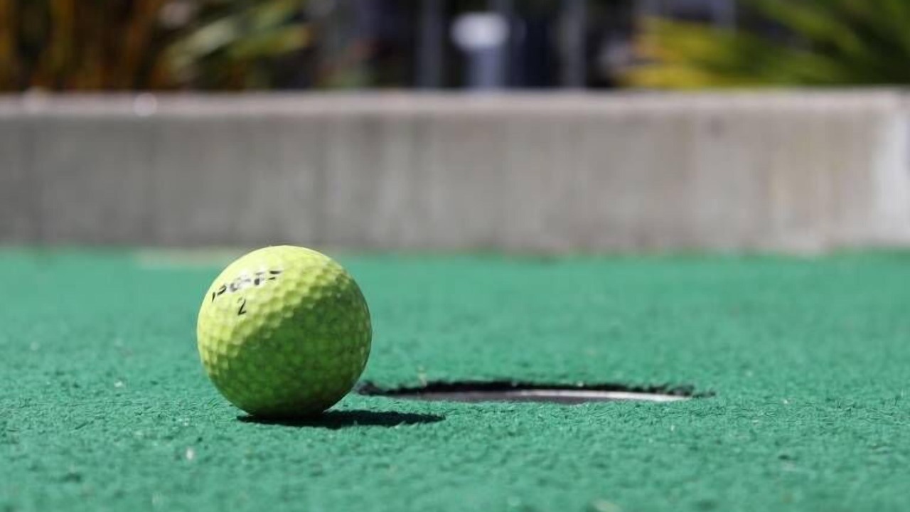 Photo of Others in Ngaio Bay