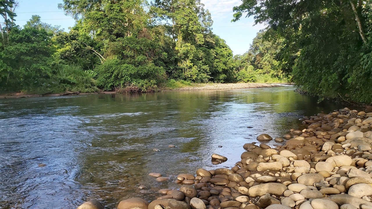 Photo of Outdoor in Sarapiqui