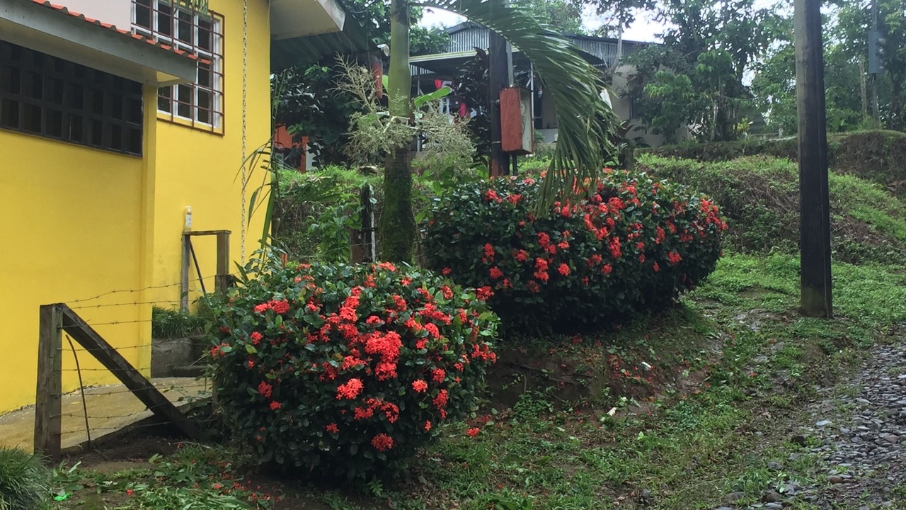 Photo of Outdoor in Sarapiqui