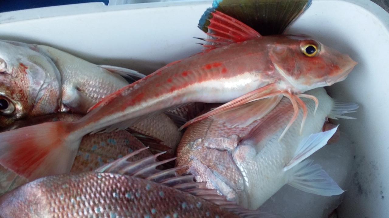 Photo of Others in Waiotahi