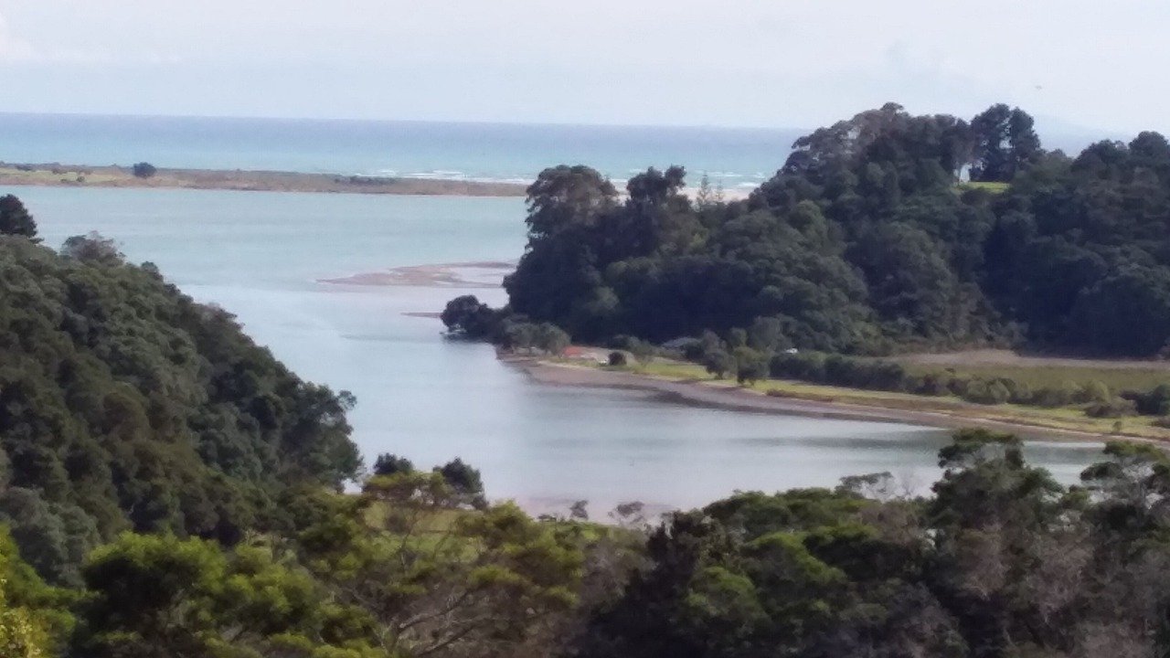 Photo of Others in Waiotahi