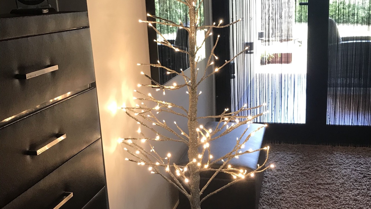 Photo of Livingroom in Turners Beach