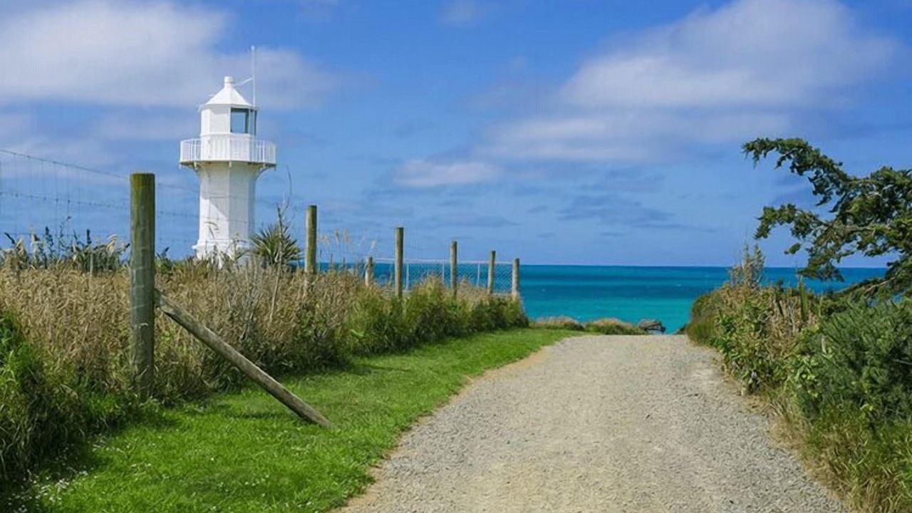 Photo of Others in Timaru