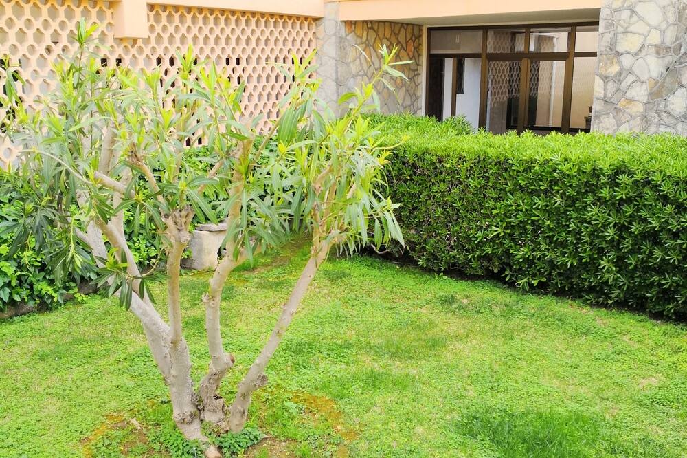 Photo of Outdoor in Calas de Mallorca