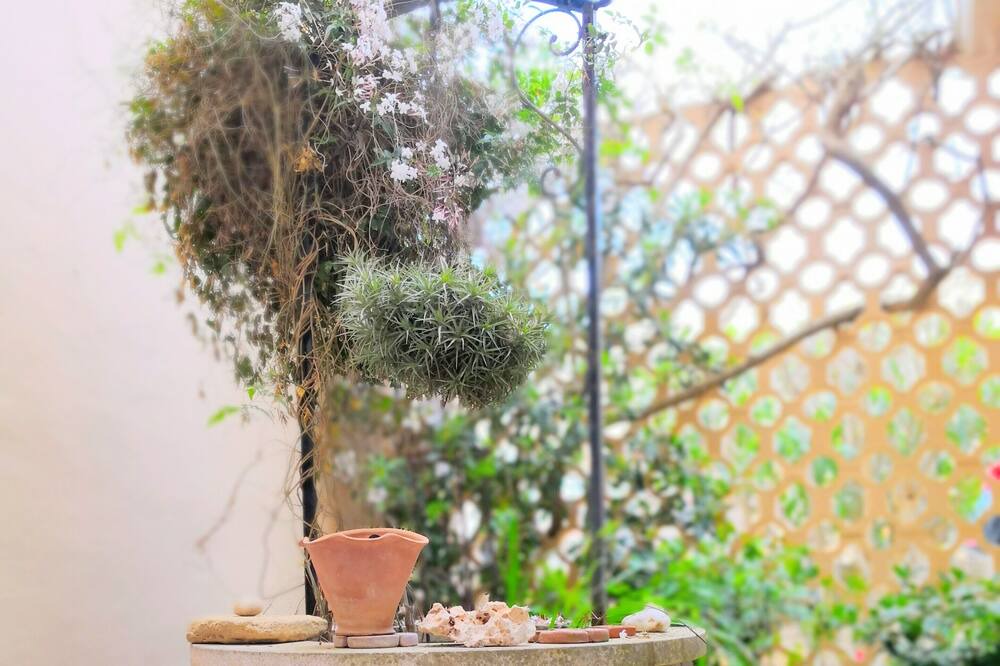 Photo of Outdoor in Calas de Mallorca