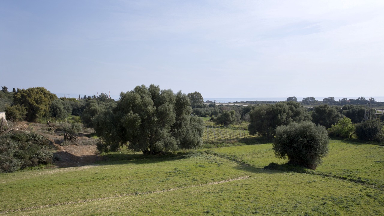 Photo of Outdoor in Minia