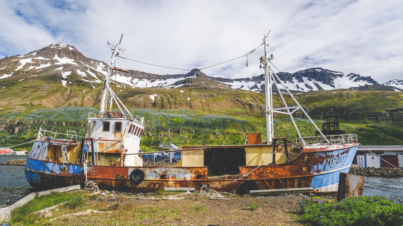 Photo of Others in Seydisfjordur