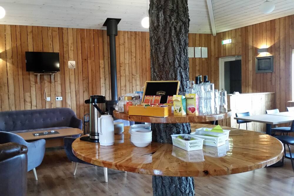 Photo of Others in Hallormsstadur