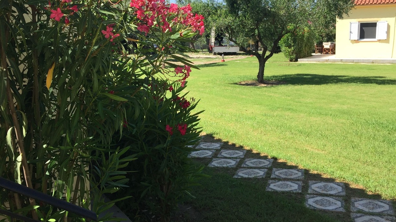 Photo of Outdoor in Lepreo