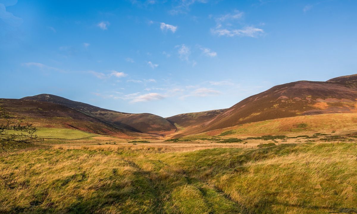 Photo of Outdoor in West Linton