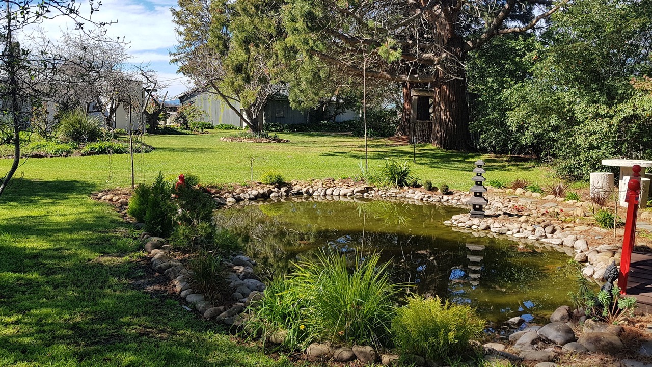 Photo of Outdoor in Swansea