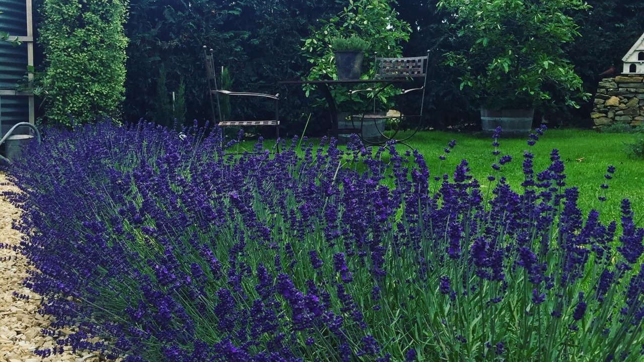 Photo of Outdoor in Oatlands