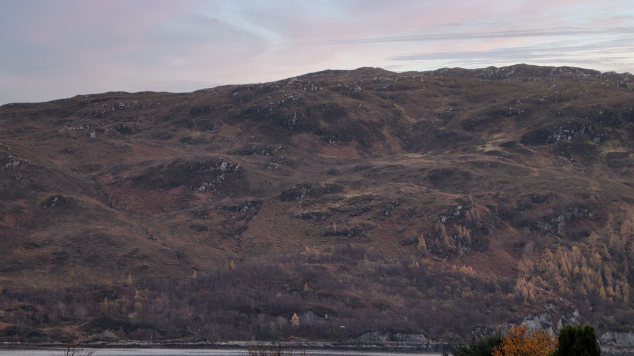 Photo of Others in Strathcarron