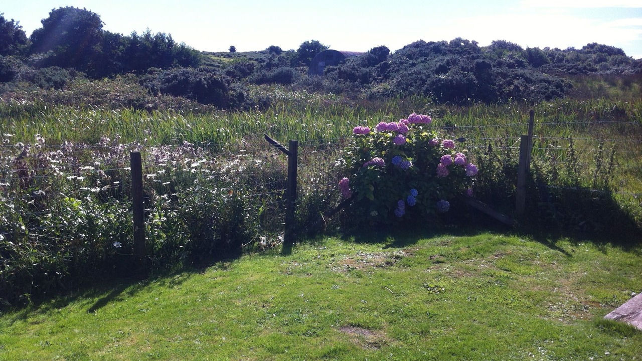 Photo of Outdoor in Isle of Gigha