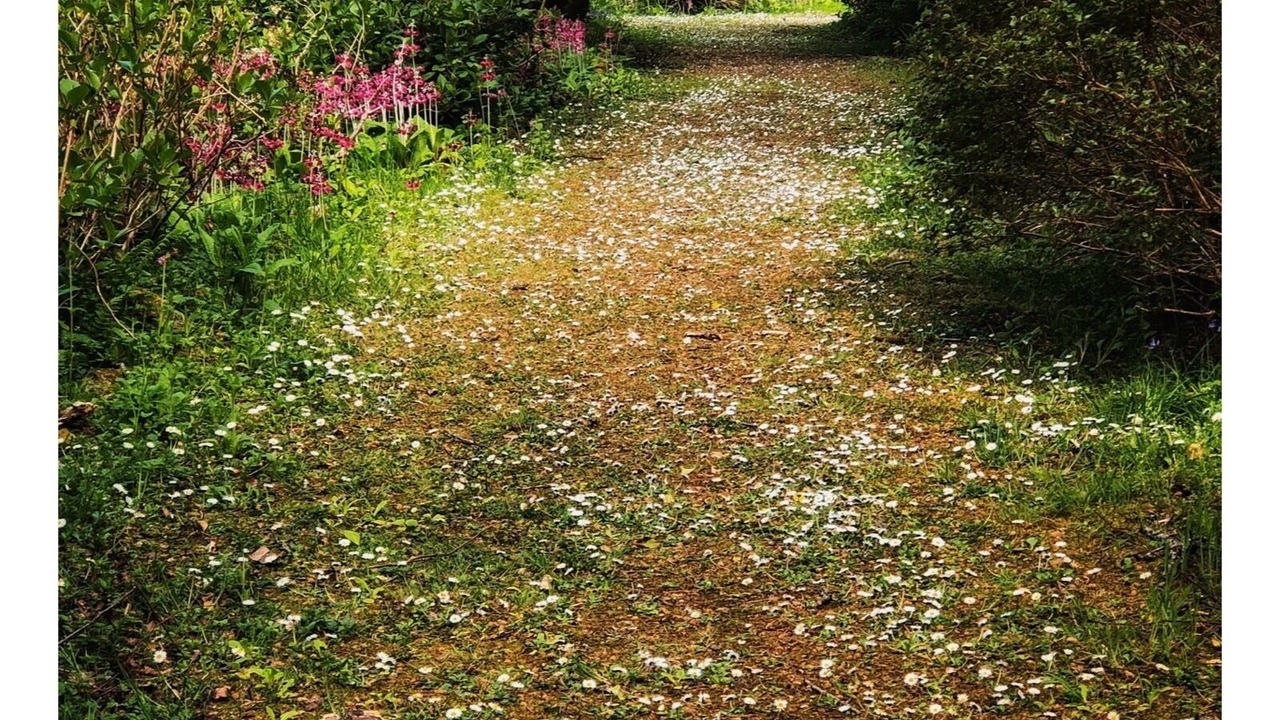 Photo of Outdoor in Isle of Gigha