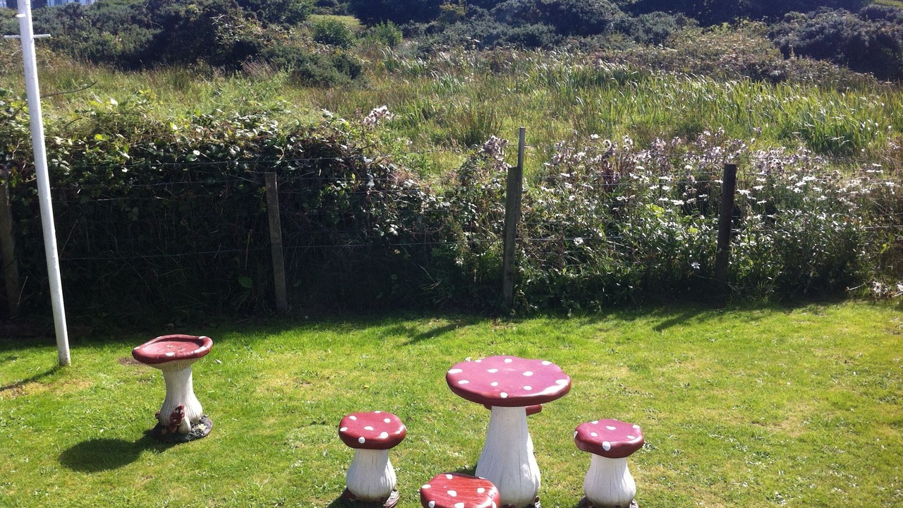 Photo of Outdoor in Isle of Gigha