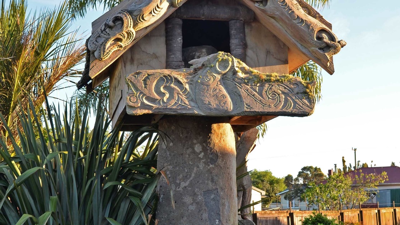 Photo of Outdoor in Kaitaia
