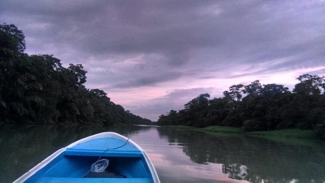 Photo of Others in Barra de Pacuare