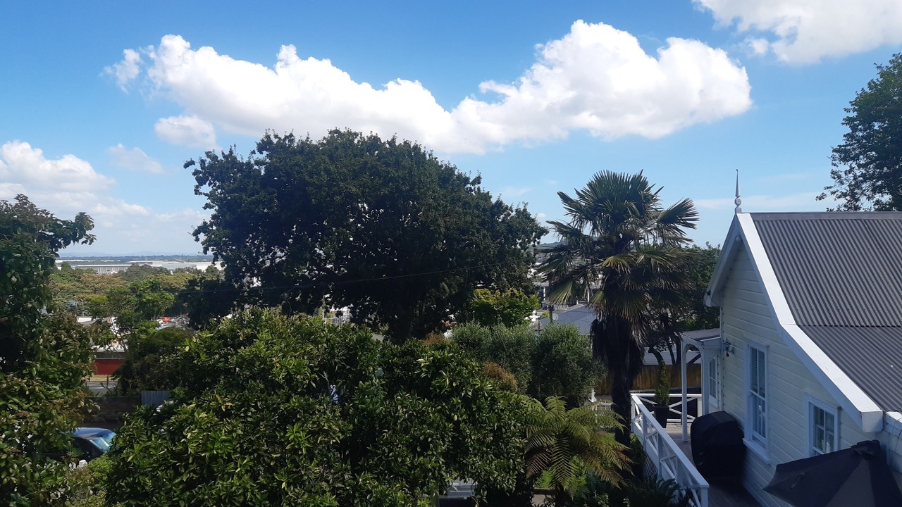 Photo of Outdoor in Onehunga