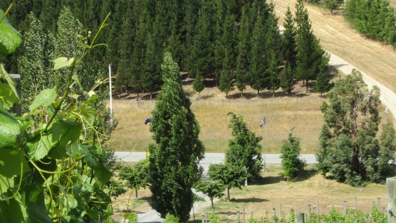 Photo of Outdoor in Alexandra