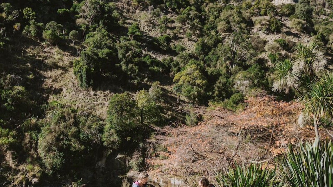 Photo of Outdoor in Taihape