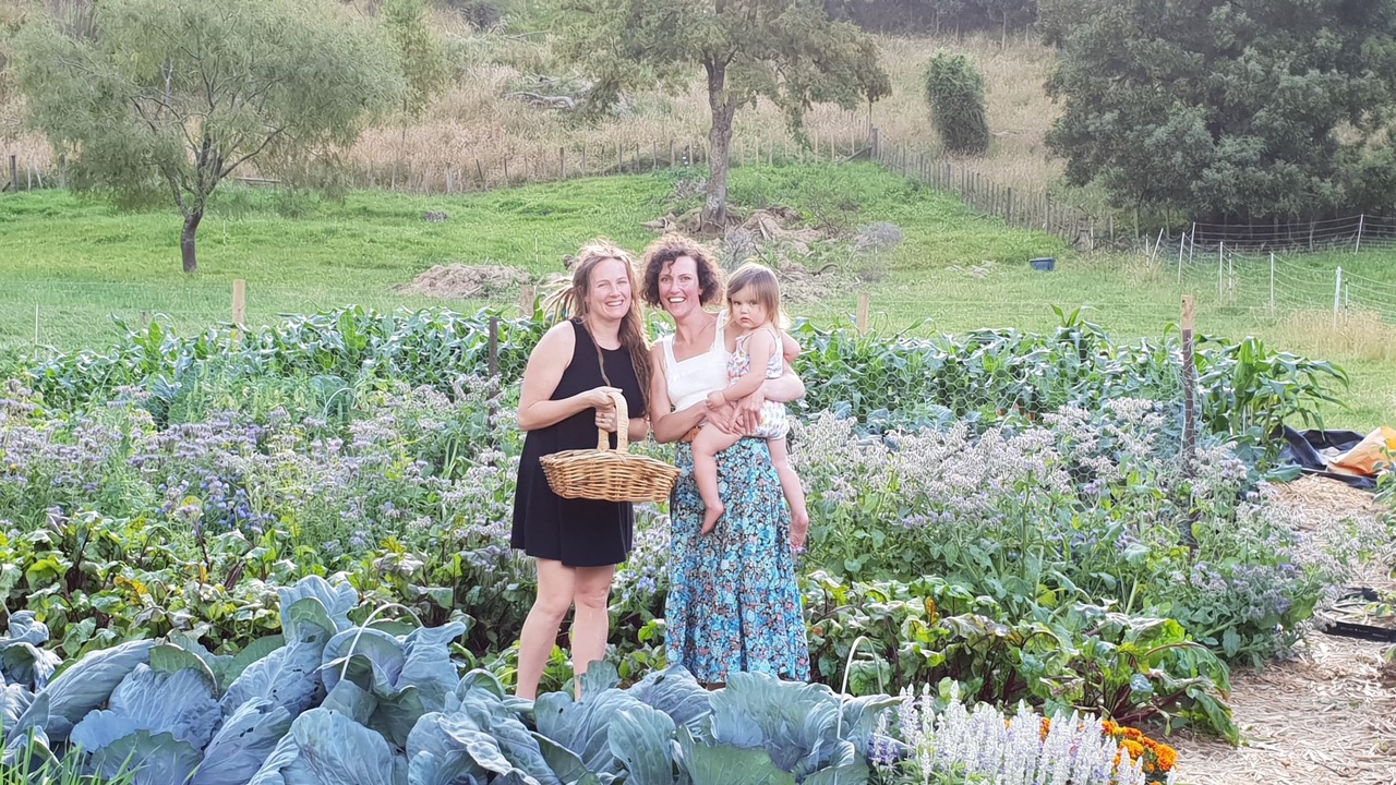 Photo of Outdoor in Taihape