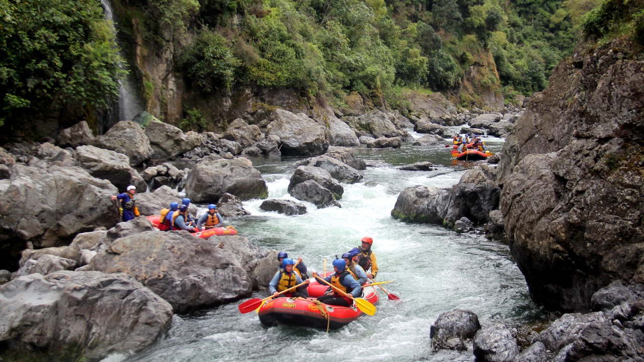 Photo of Others in Taihape