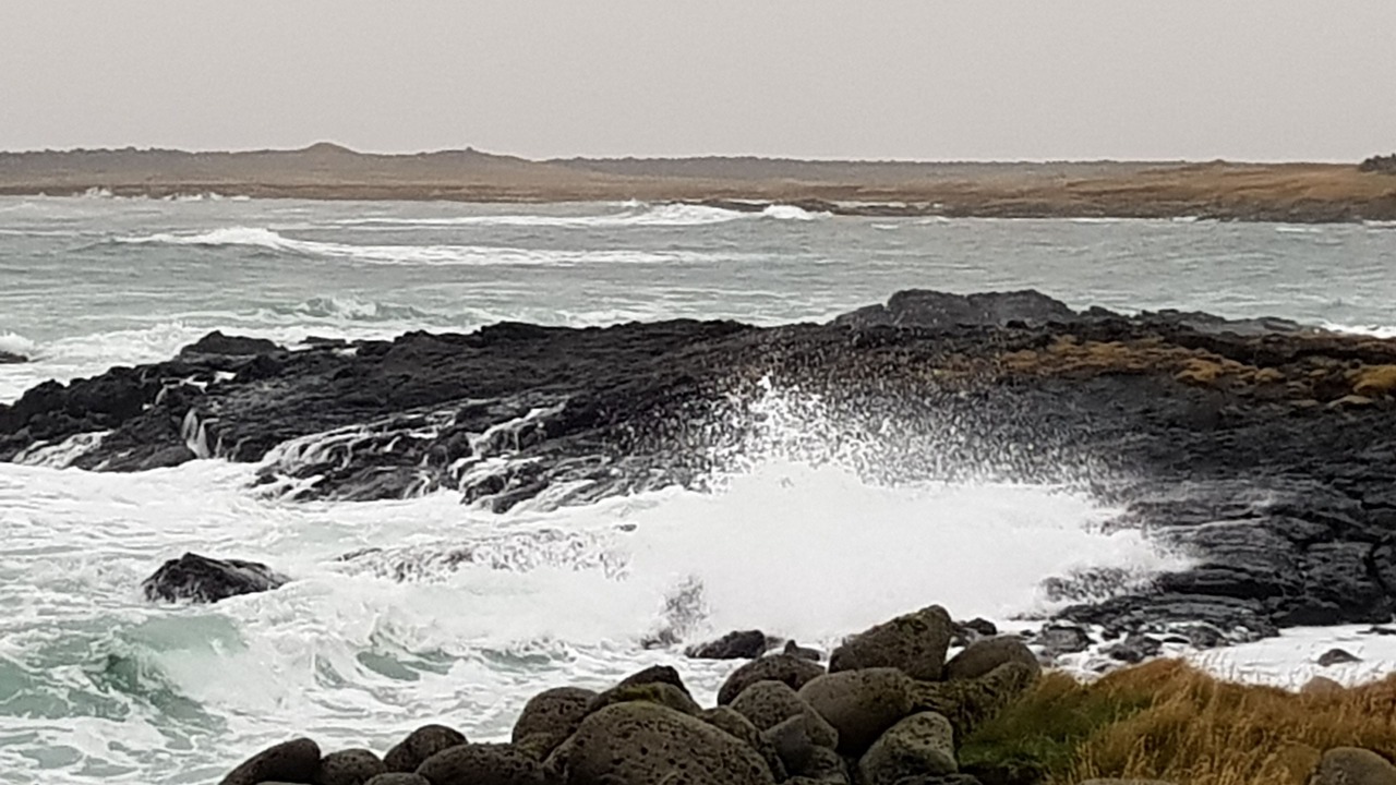 Photo of Others in Grindavik
