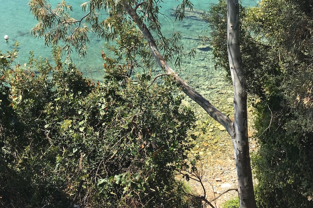 Photo of Others in Horto