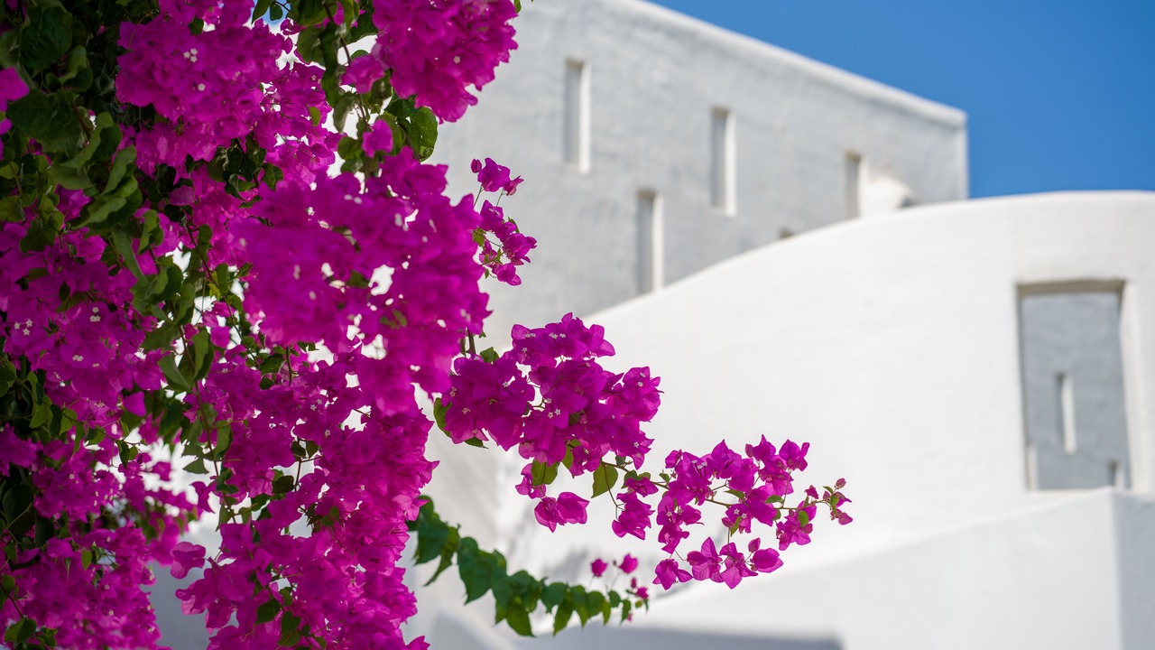 Photo of Outdoor in Vathianos Kampos