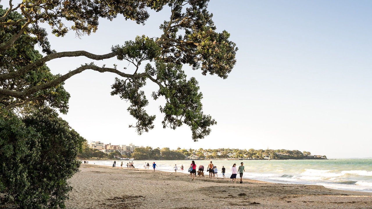 Photo of Others in Takapuna