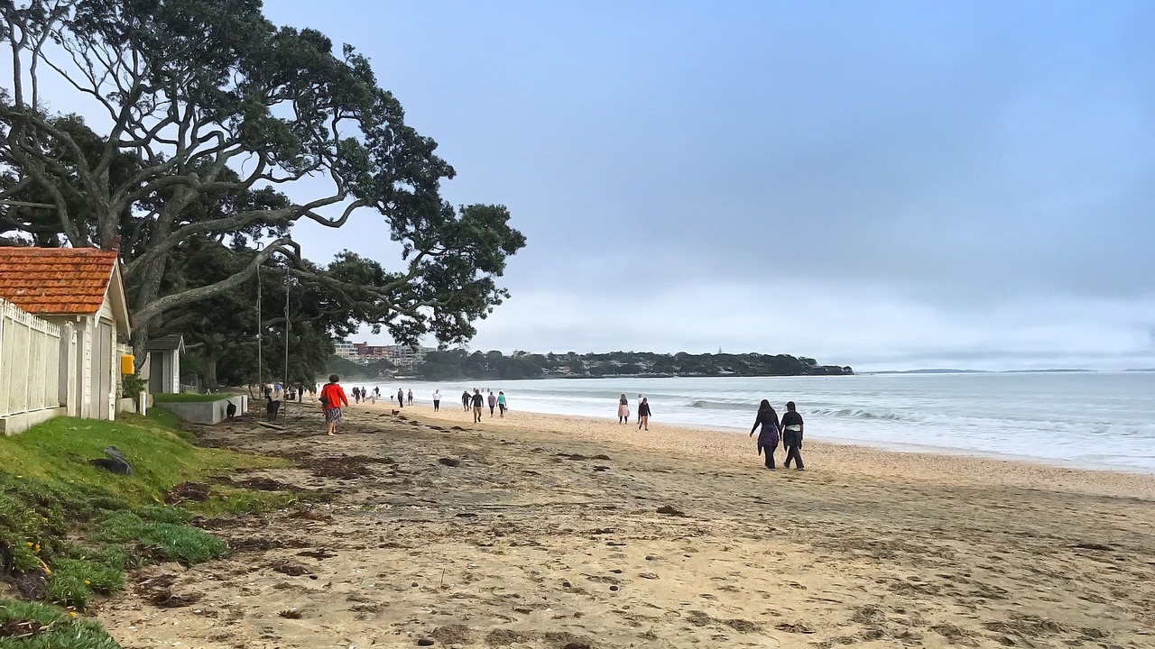 Photo of Others in Takapuna