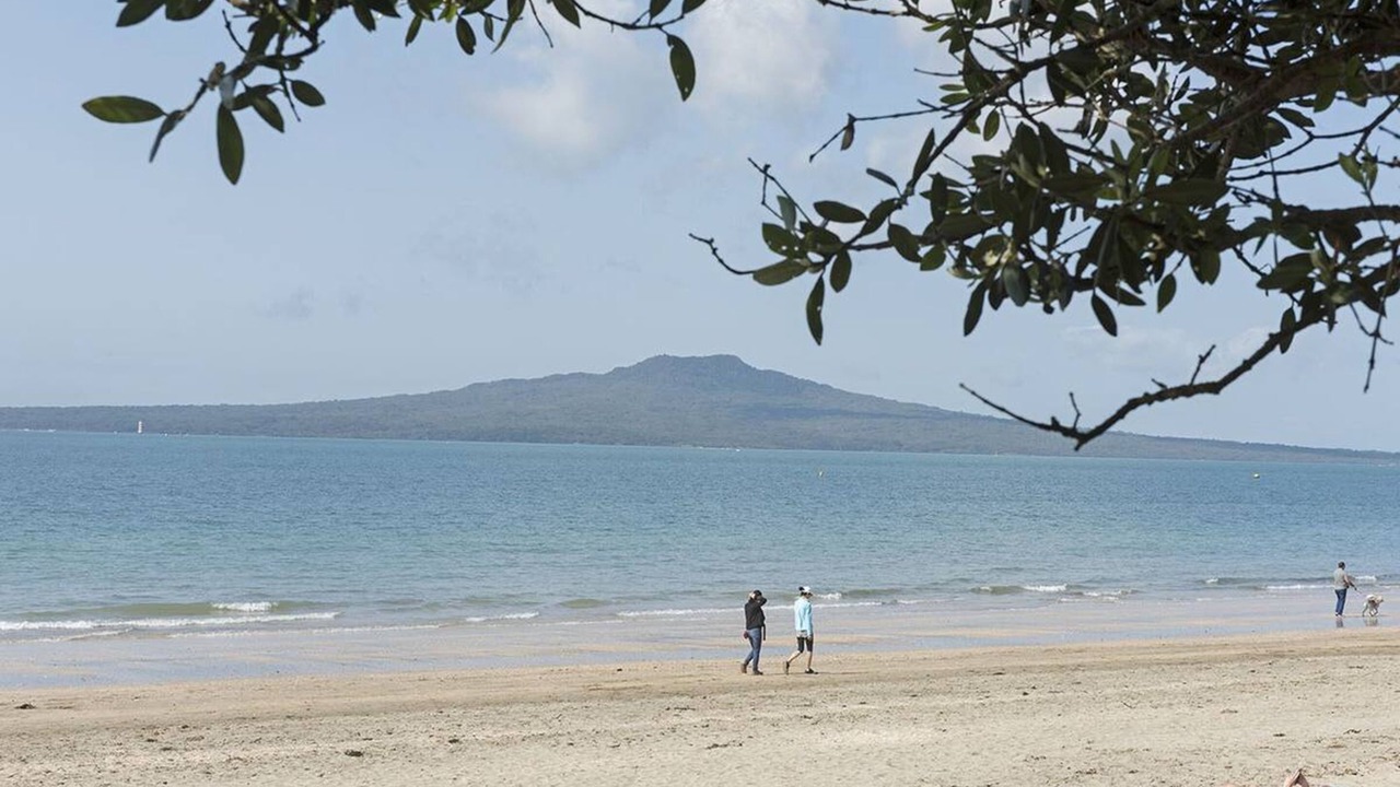 Photo of Others in Takapuna