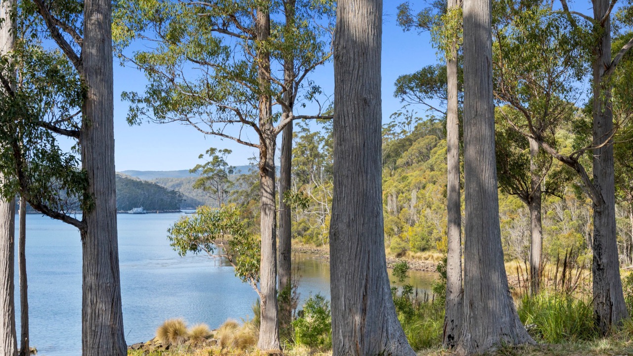 Photo of Outdoor in Port Arthur