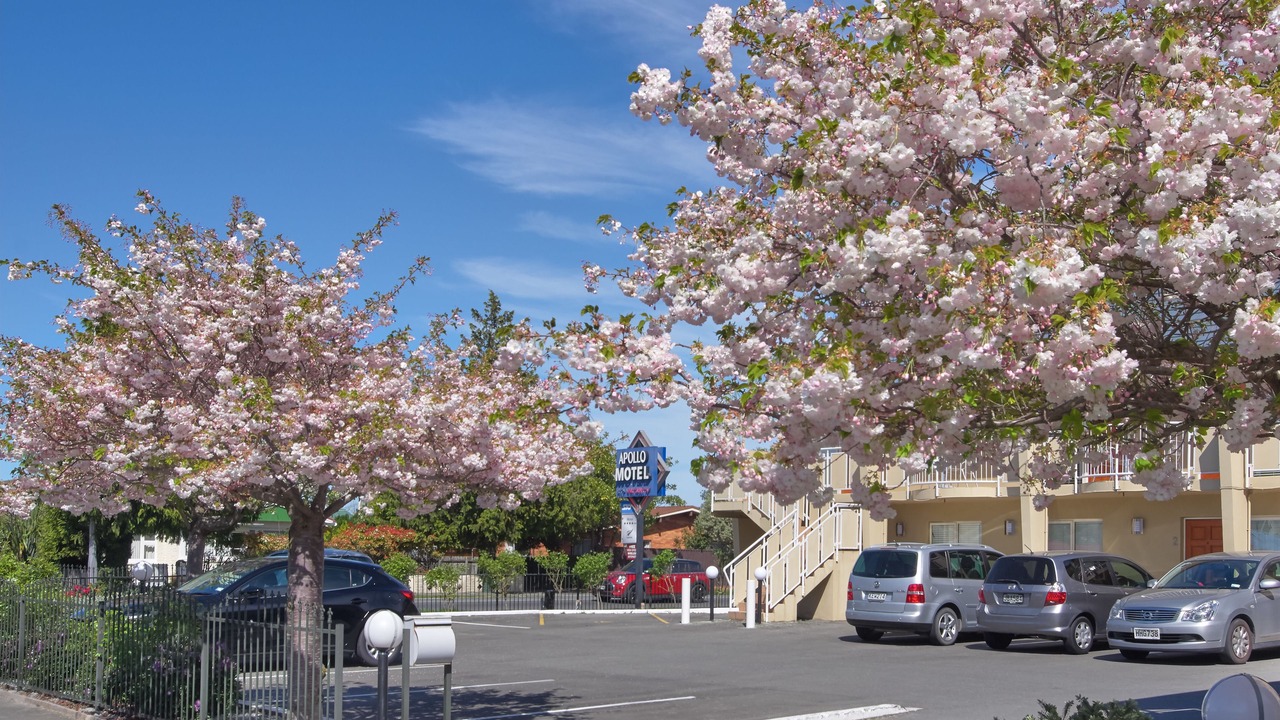 Photo of Outdoor in Upper Riccarton