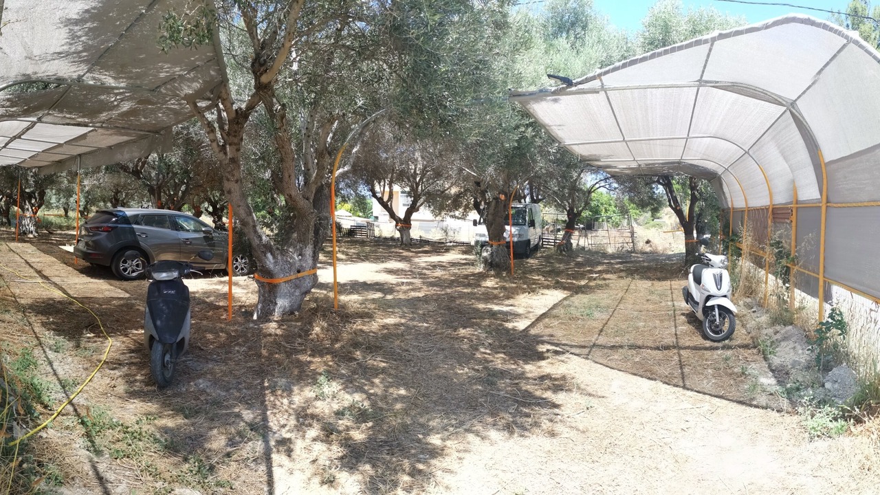 Photo of Outdoor in Megalo Metochi