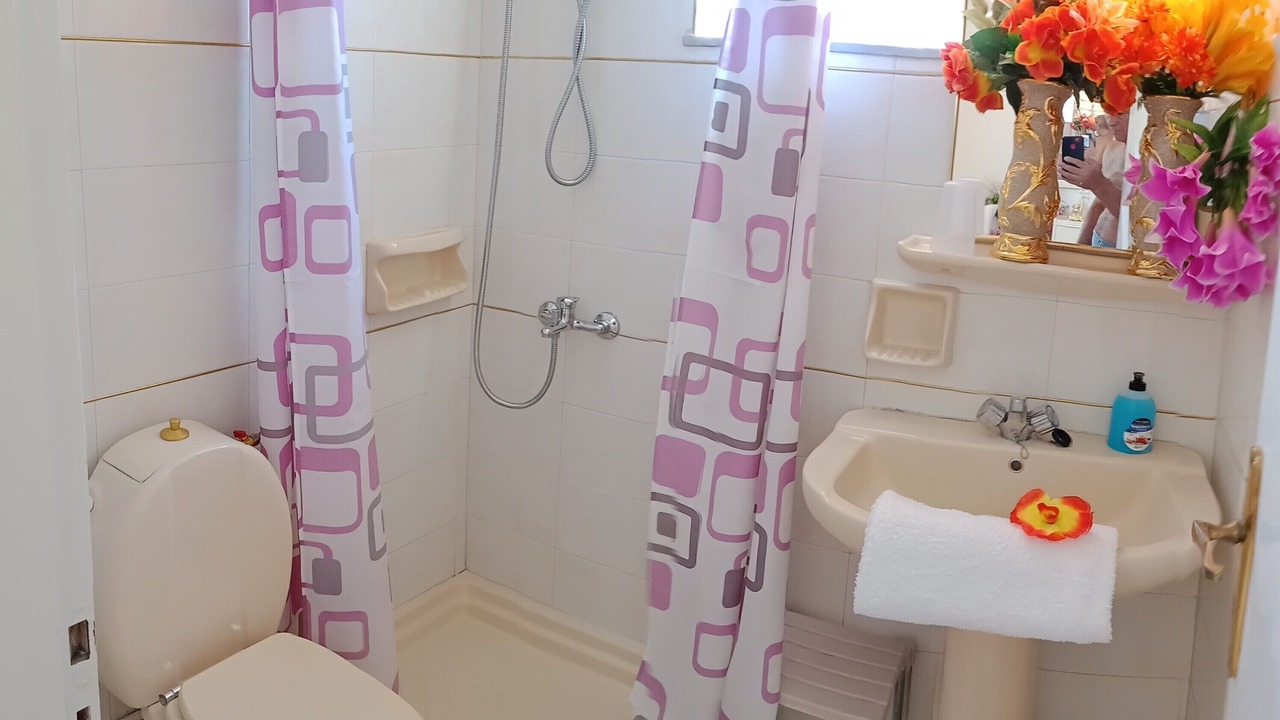 Photo of Bathroom in Megalo Metochi