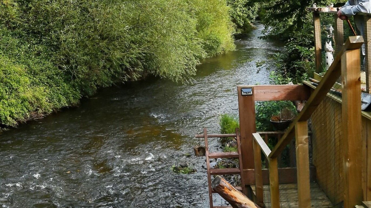 Photo of Others in Lasswade