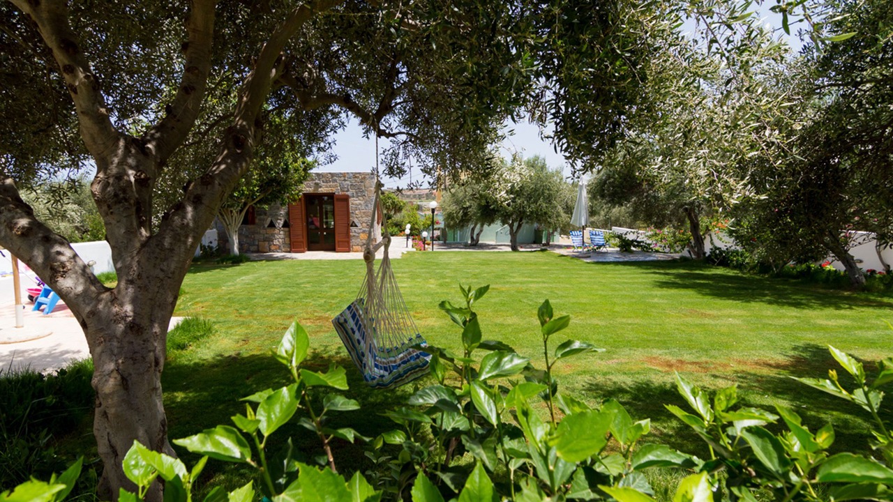 Photo of Outdoor in Skotino