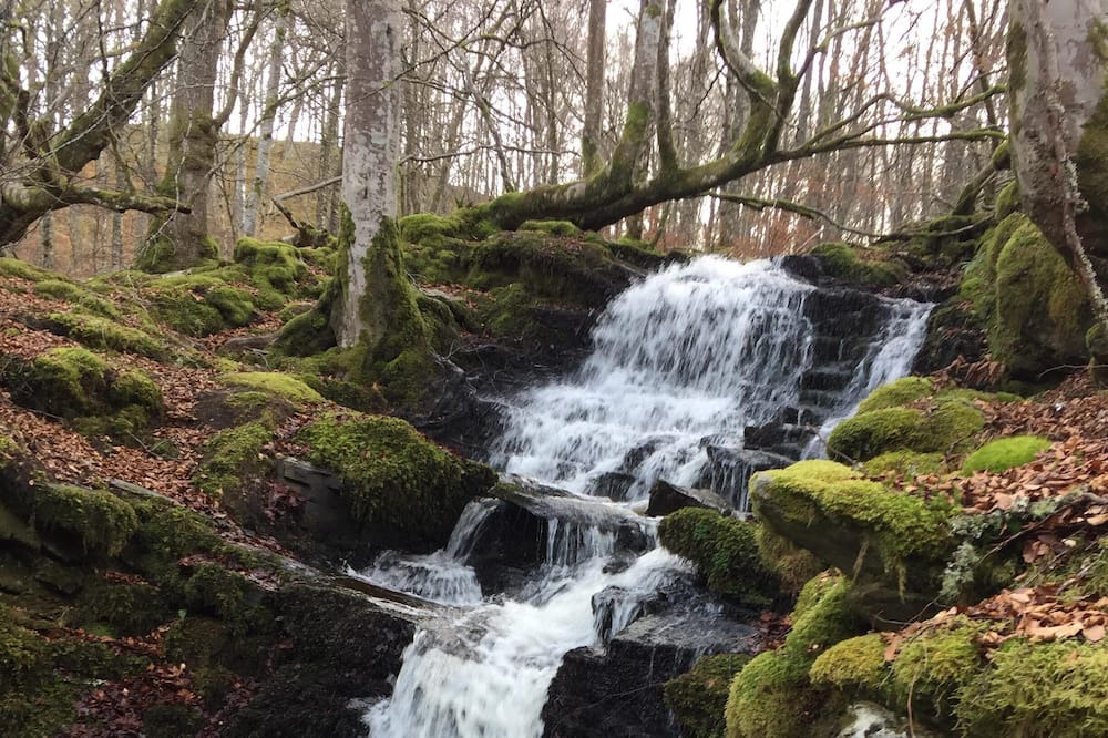 Photo of Outdoor in Tummel Bridge