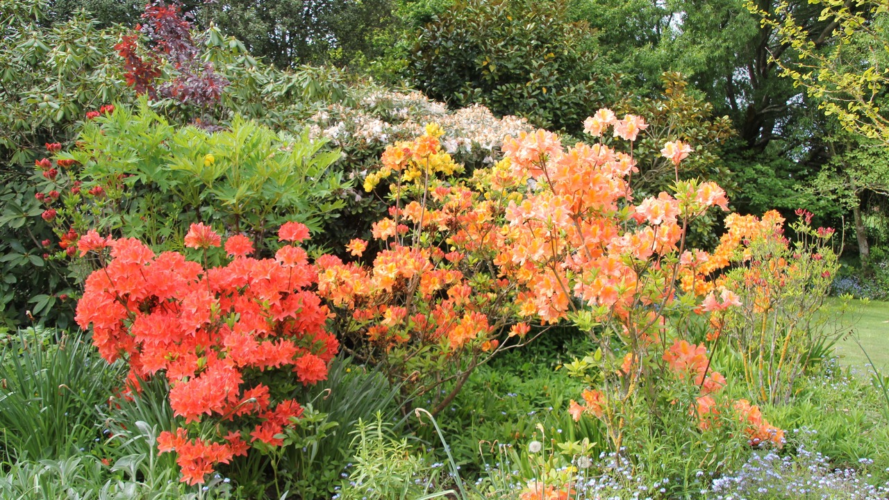 Photo of Outdoor in Kaiapoi