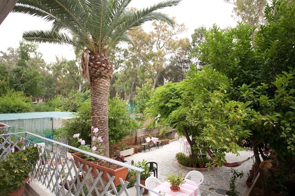 Photo of Outdoor in Elliniko-Argyroupoli