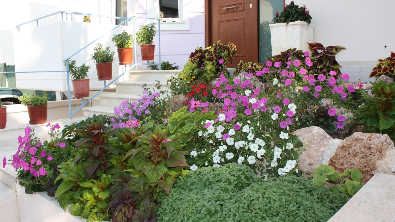 Photo of Outdoor in Elliniko-Argyroupoli